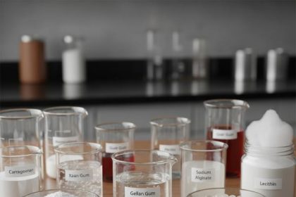 Food Texturing Agents Market