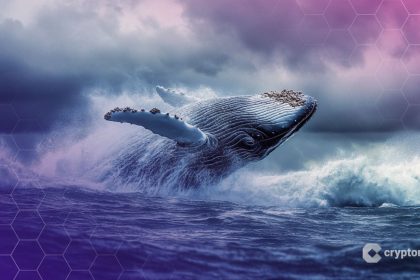 MEXC Apologizes After Wrongfully Freezing $3M From Crypto Whale ‘The White Whale’