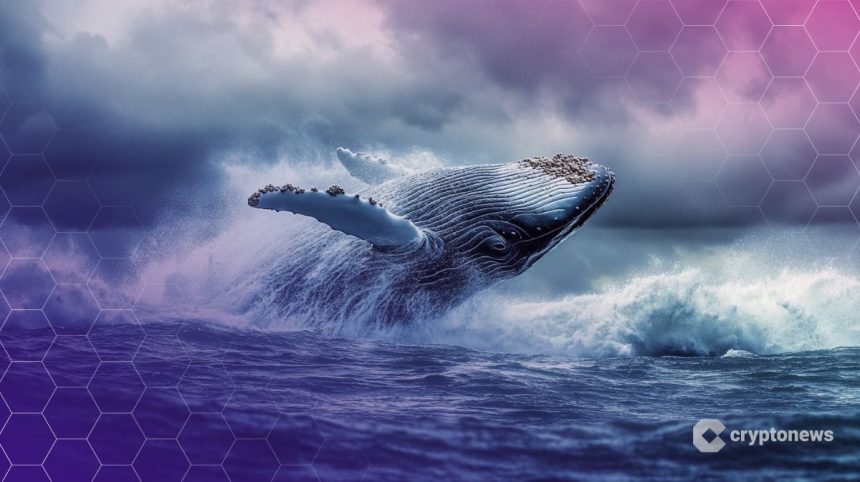 MEXC Apologizes After Wrongfully Freezing $3M From Crypto Whale ‘The White Whale’