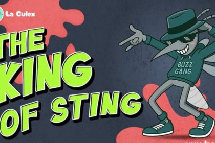 Top Crypto to Buy Today in 2025