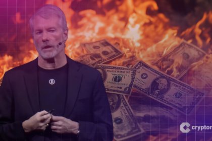 Visionary Strategy or Risky Gamble?