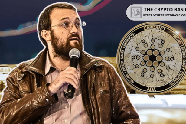 Top YouTuber Says Cardano Risks Losing Relevance Without Hoskinson’s Public Presence