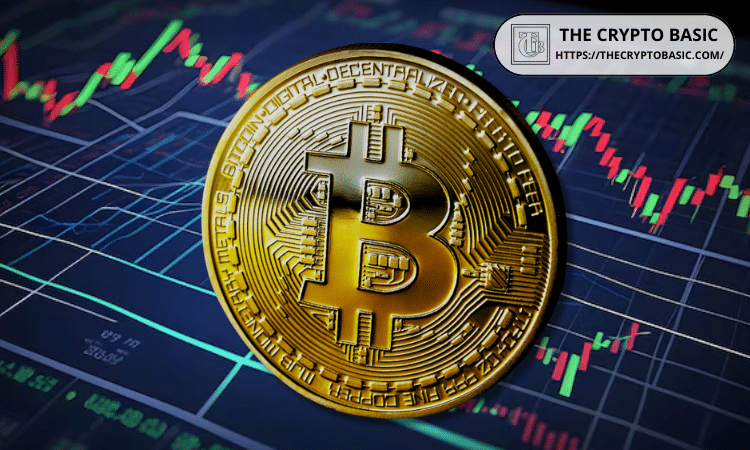 Bitcoin Whale Activity Rises Sharply on Binance: Details