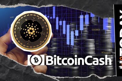 Cardano (ADA) Dethrones Bitcoin Cash as Price Sees Mild Rebound