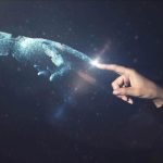 Crypto is built for AI agents, not humans, according to Alchemy's CEO