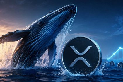 XRP Whales Reach Record Levels as 332K Wallets Continue Accumulating