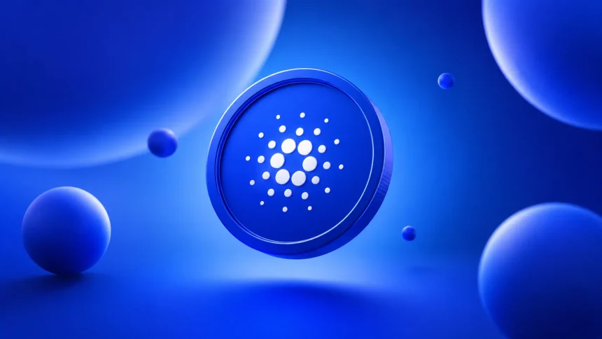 David Gokhshtein Says Midnight Could Follow Zcash Explosive Rally Path