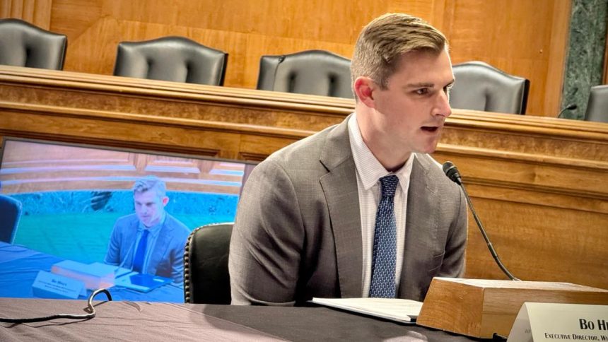 Senate's top Democratic investigator looking into Tether payments to Bo Hines' firm